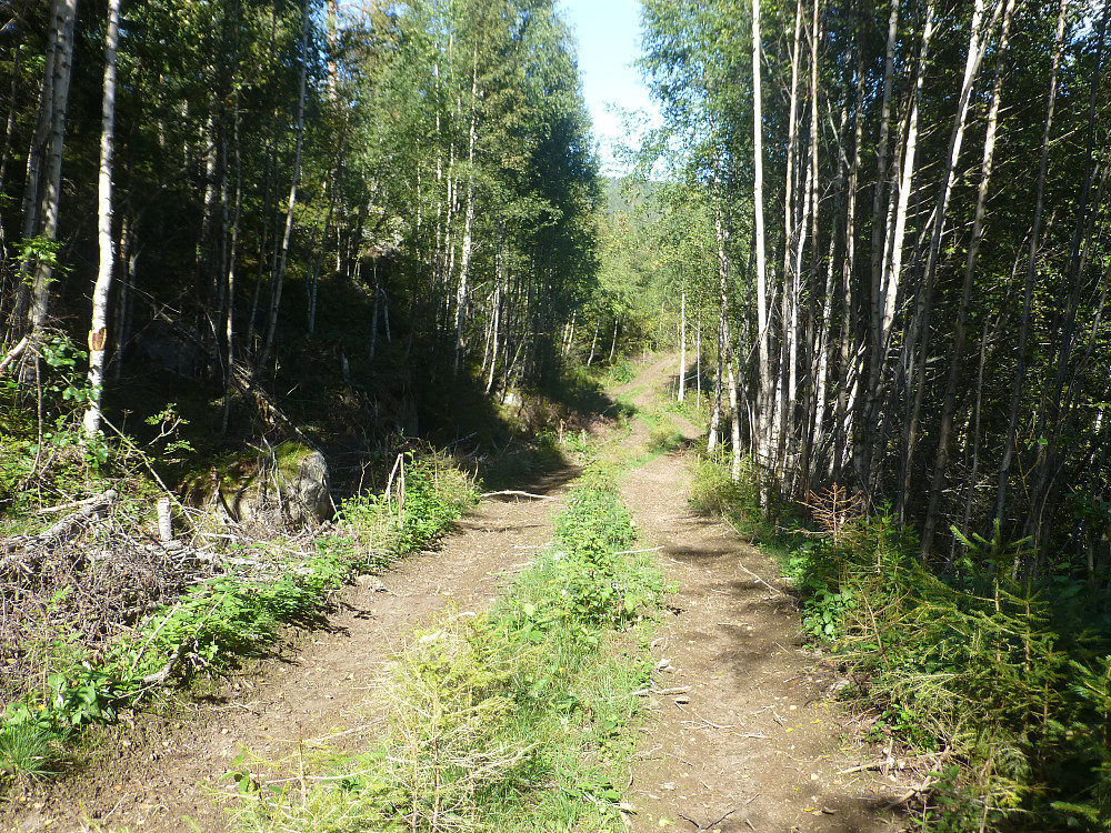 Traktorvegen oppover