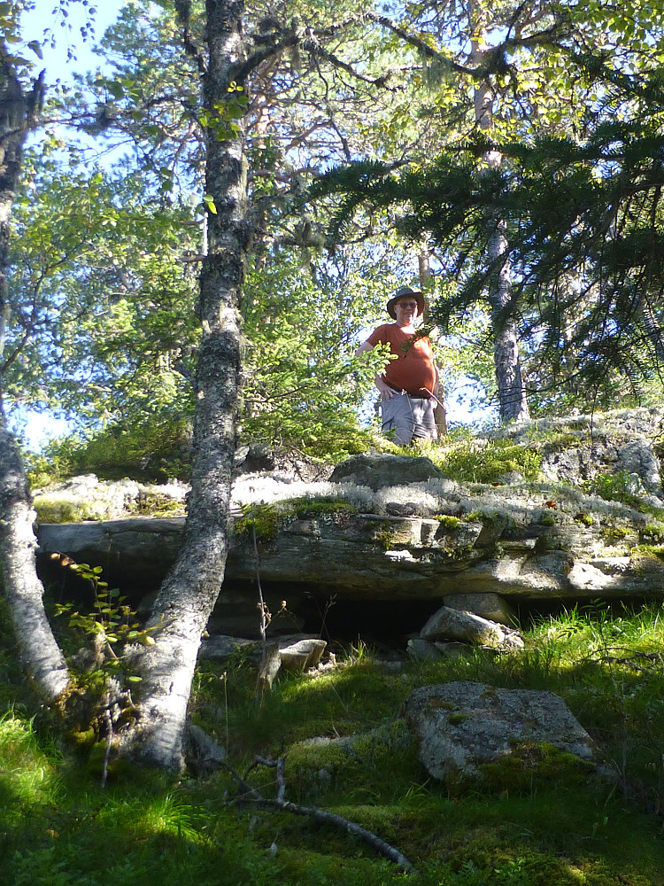 Siste lia før toppen