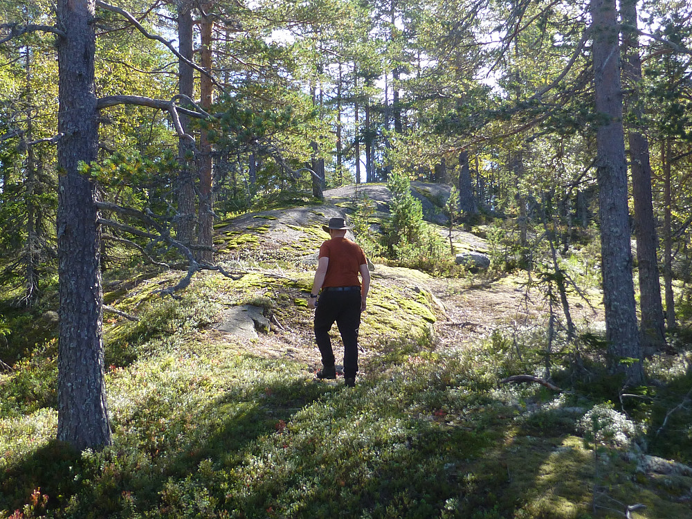 Ryggen opp mot toppen