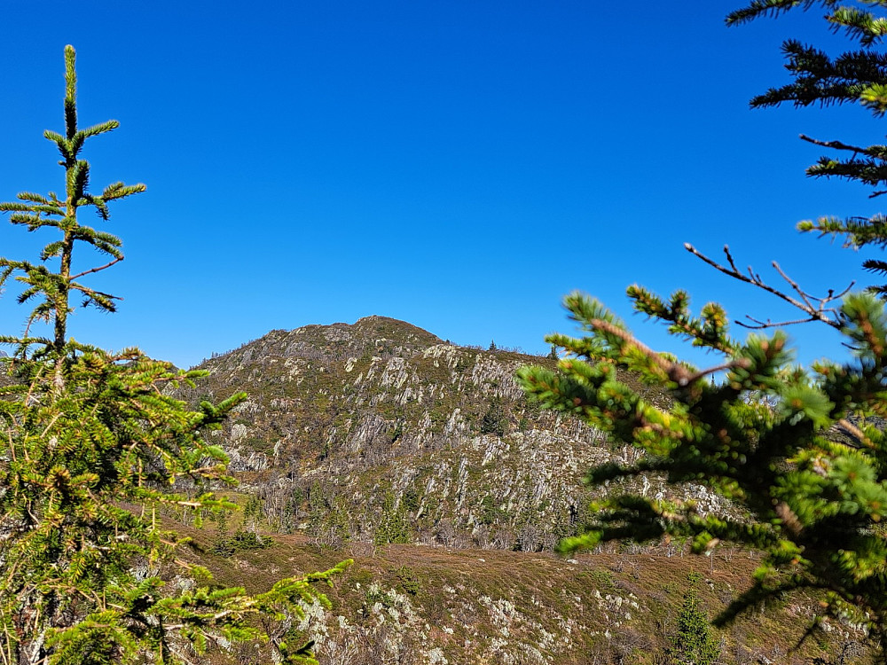 Knurrlinatten sett fra foten av Brattlinuten
