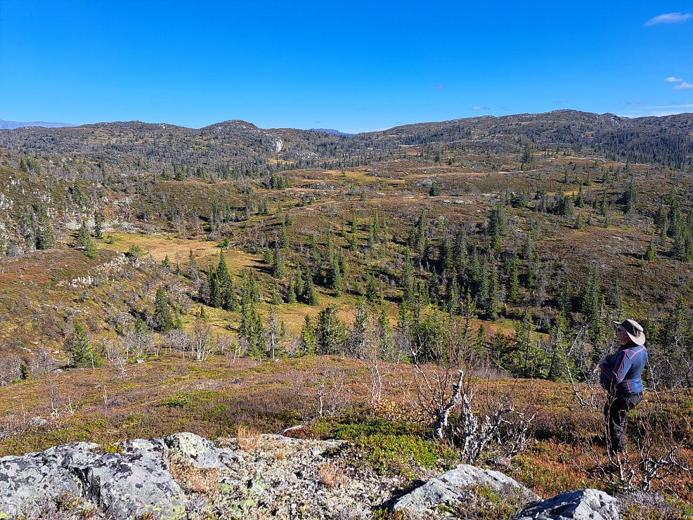 Minnesjorddalen i denne retningen