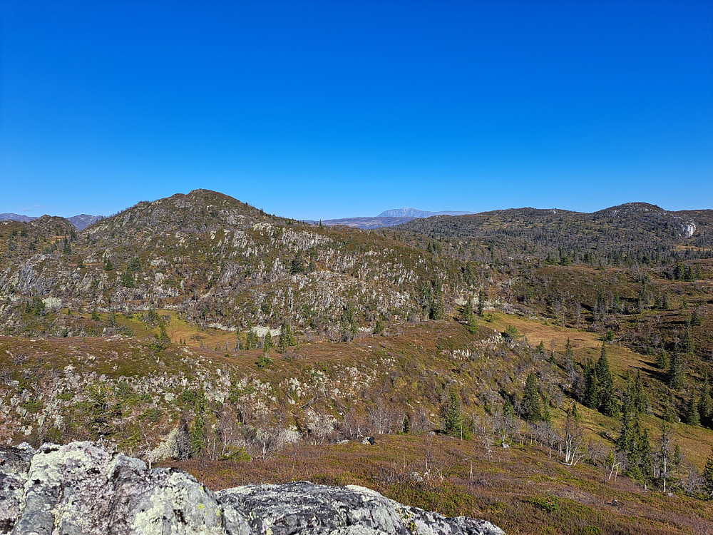 Knurrlinatten med Gaustatoppen bak