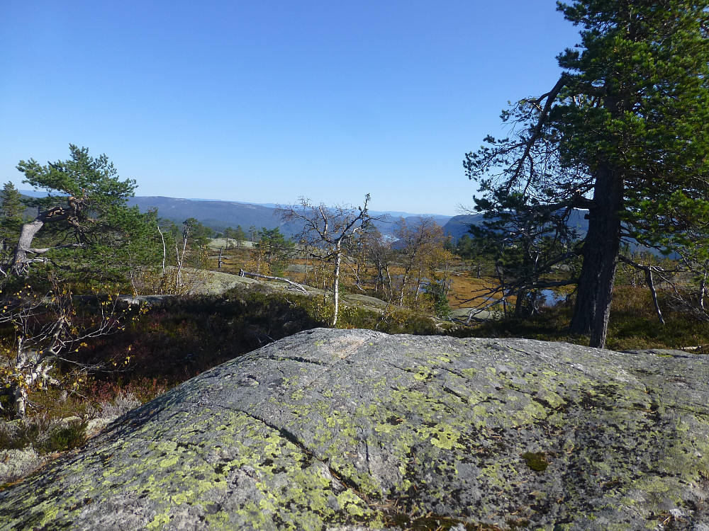 Toppen av Ånås. Ingen varde eller markering, bare flott natur