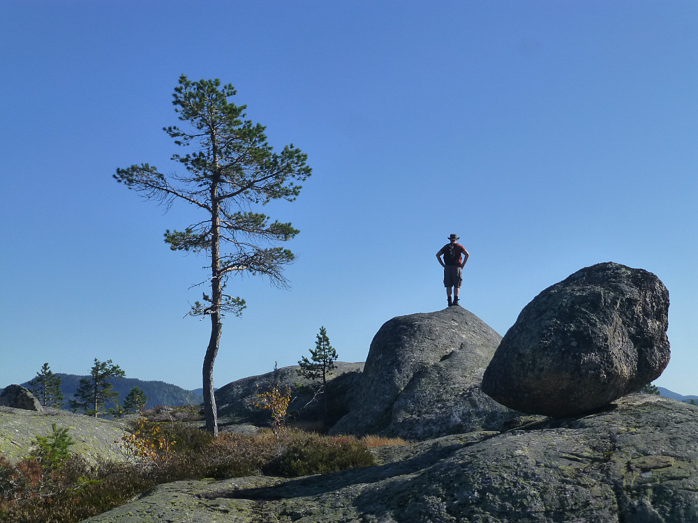 Artige steinformasjoner nedover lia