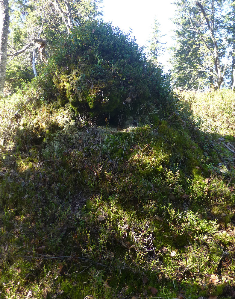Trollet i skogen