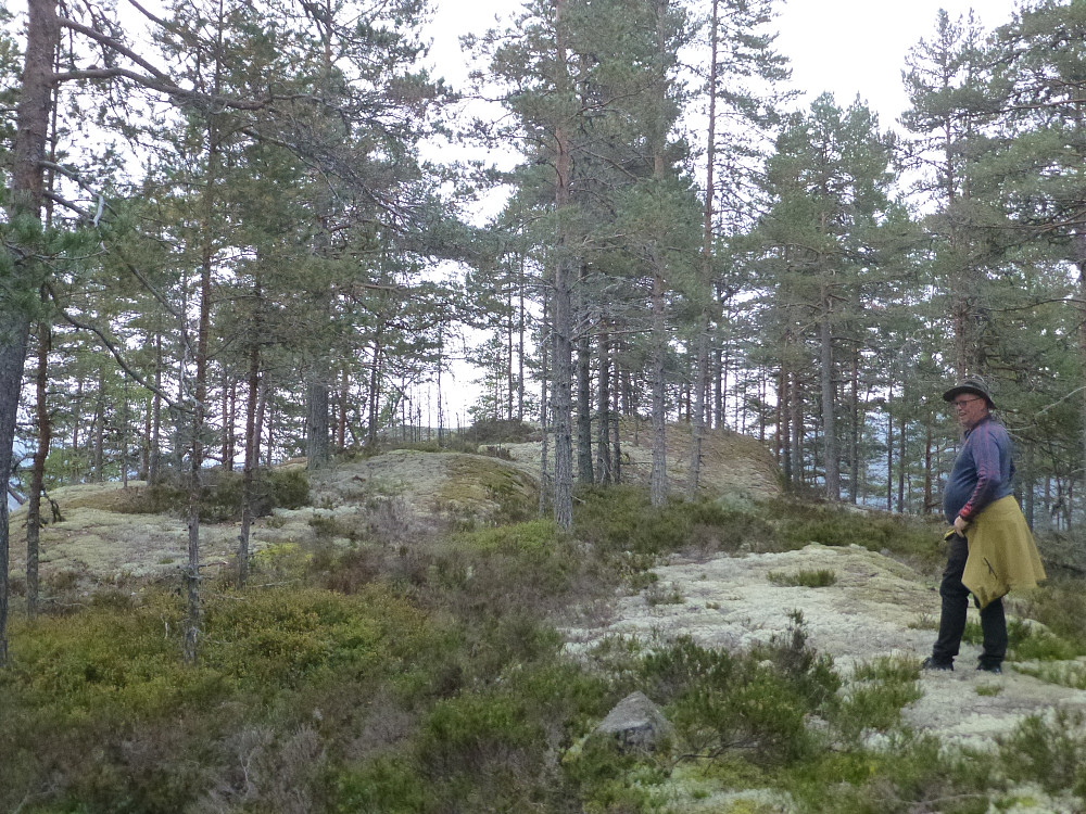 Toppområdet