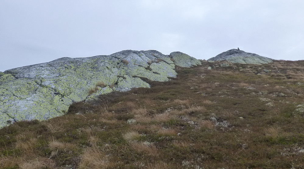 Lyngbakken opp til toppen. Varden skimtes der framme