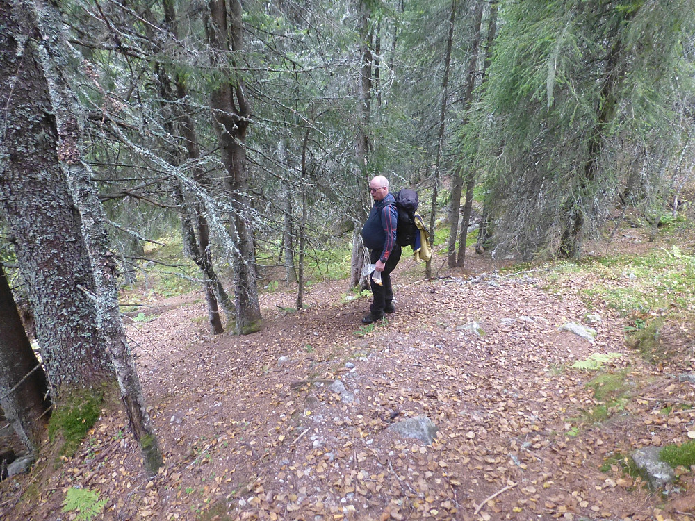 S-sti i skogen, flott laga
