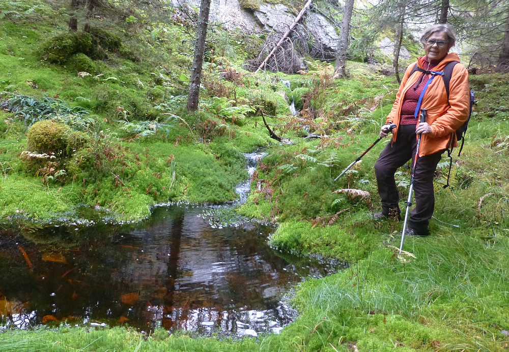 Nede i dalen mellom de tverre bergi. Litt vått her og lite tråkk, så det fleste andre går nok heller oppe på berga.