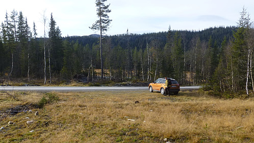 Parkeringen