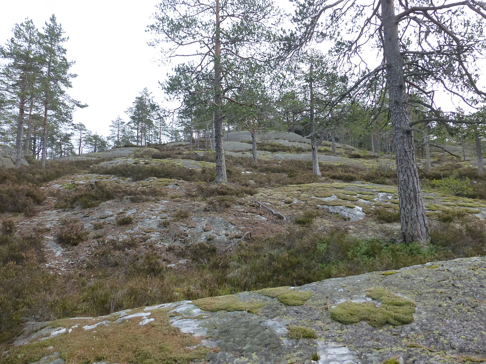 Svaområdet før toppen