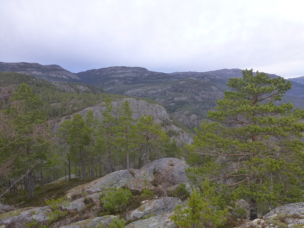 Utsikt mot Skorve og Skuggelifjellet