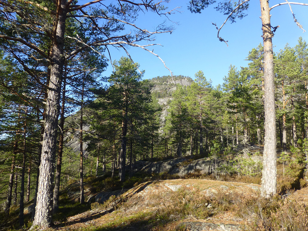 Toppe i sikte