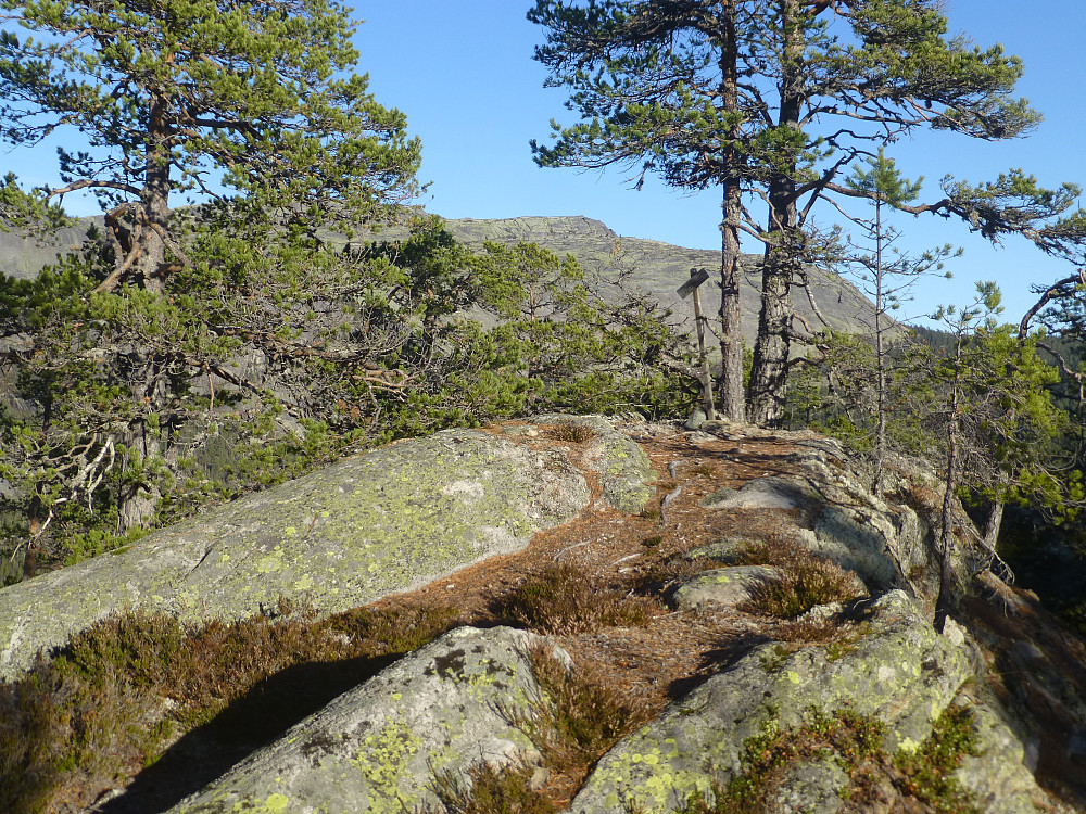 Toppen på Sandenuten