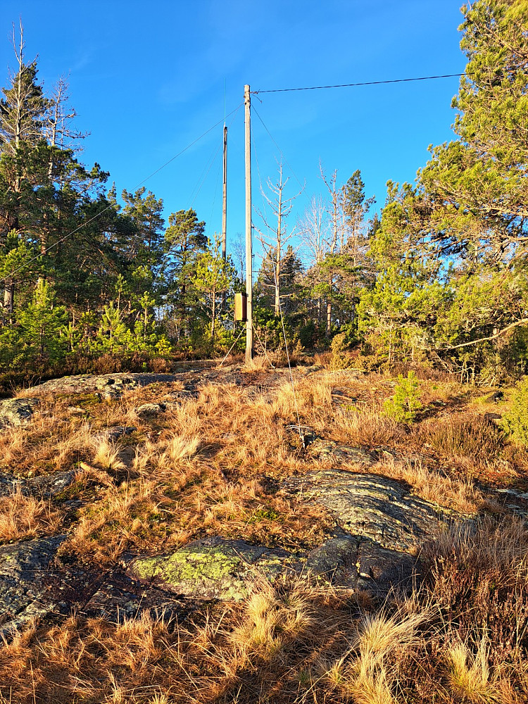 Toppområdet