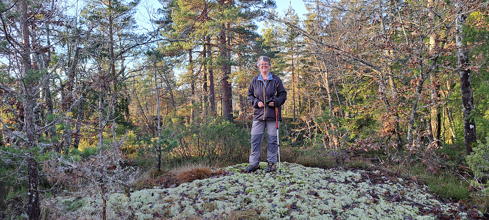 Toppen med bolt med flott lavdekke