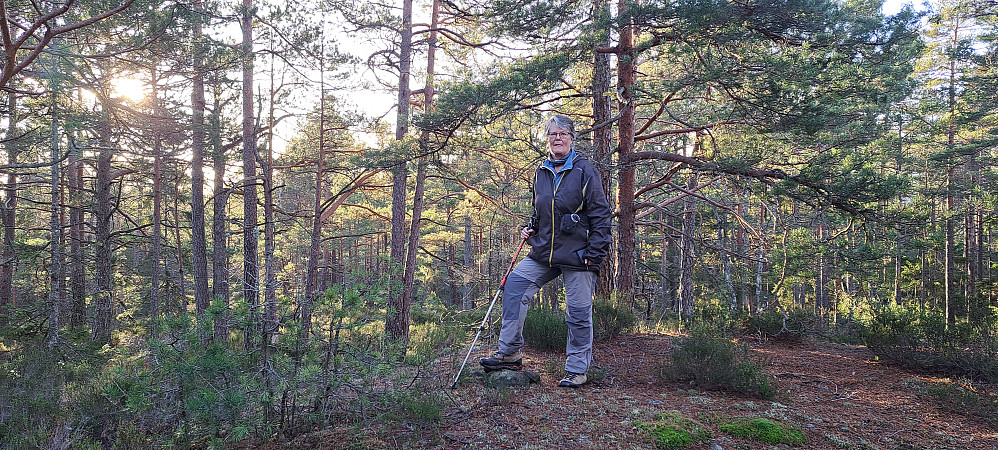 Toppen nådd, Kragerø ferdig, topp nr 289 i Telemark pf 100