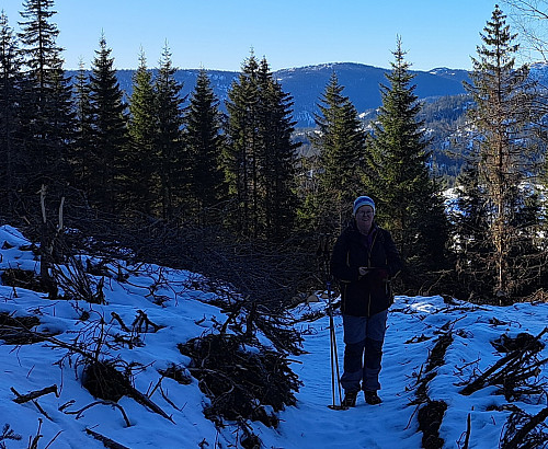 Traktorvegen oppover lia