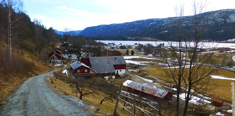 Bjørge med lama, villsau og hester ute på beite i dag.