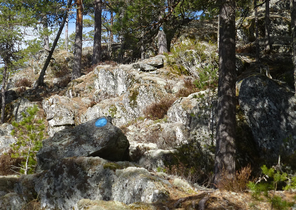 Fin merket sti oppover ut mot skrenten