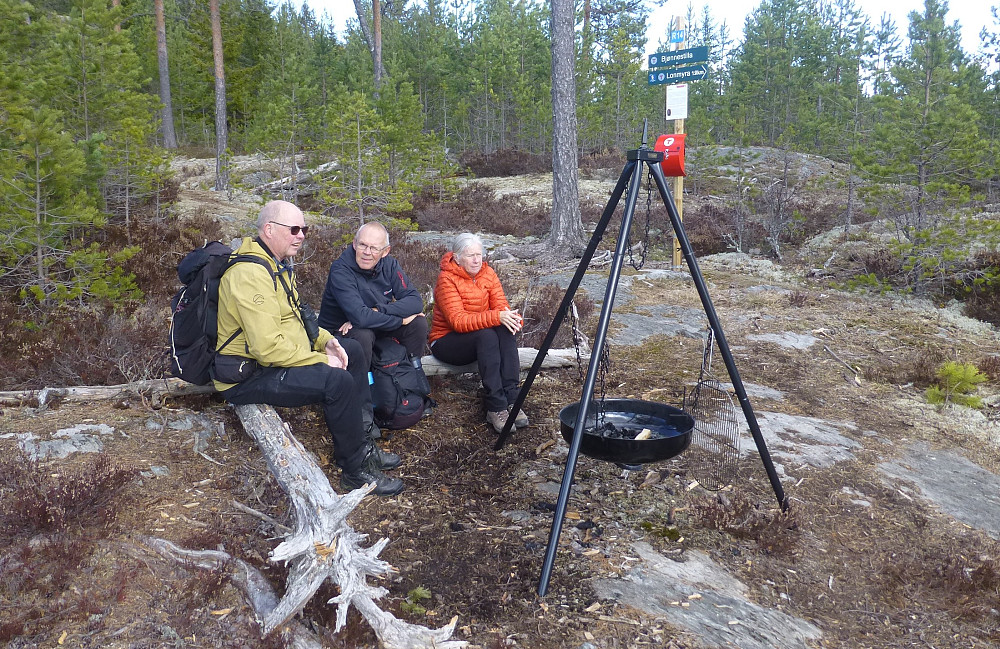 Bjørnestille, en fin plass å komme opp til