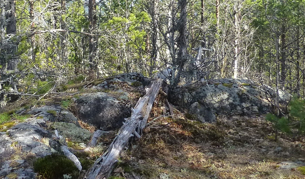 Høyeste topp