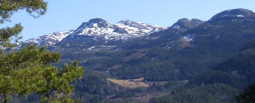Utsikt mot Grimaren, Geitkyrkja og Venelifjell
