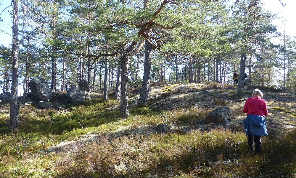 Oppover går det i lia