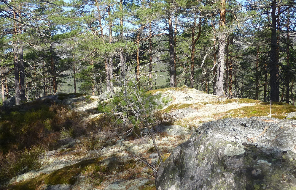 Toppunktet, helt anonymt