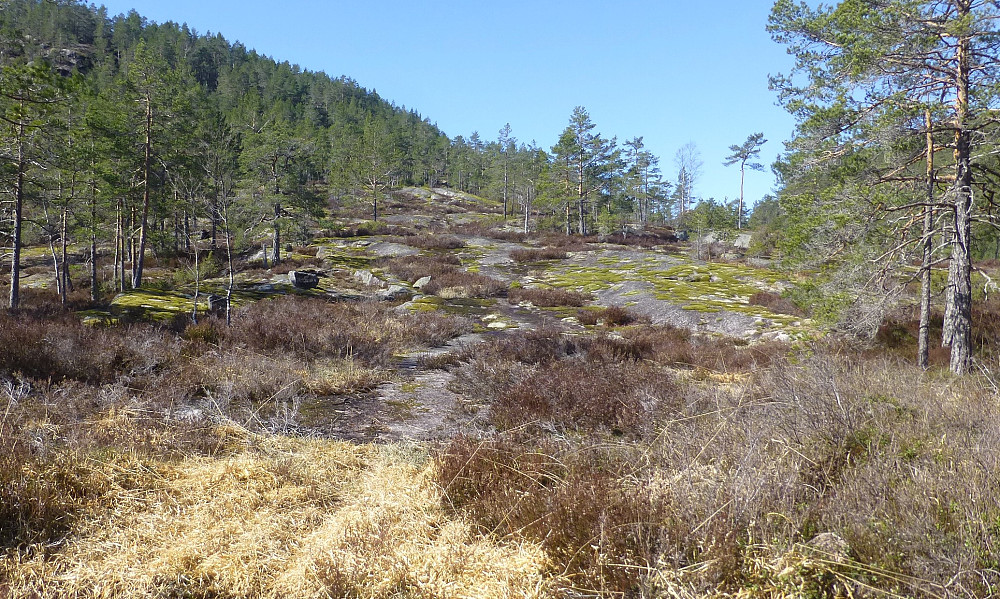 Svaene i starten, sett fra hytta vi gikk forbi