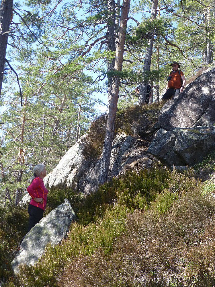 Her jobbet vi med å komme oss opp fjellet