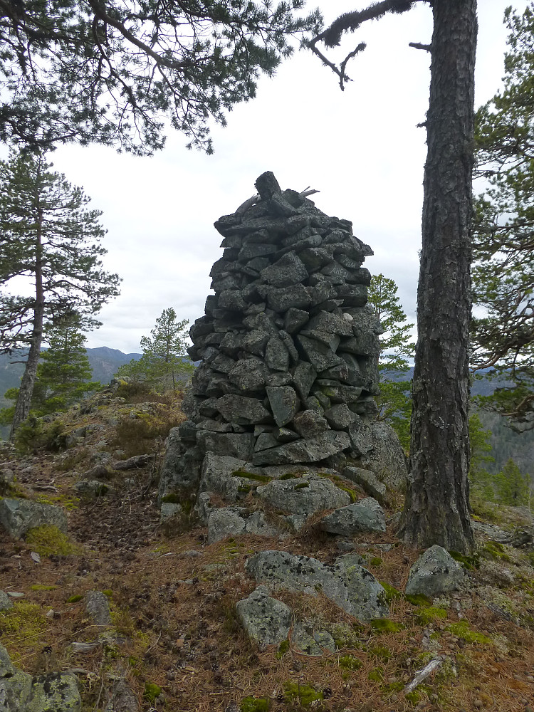 Toppvarden