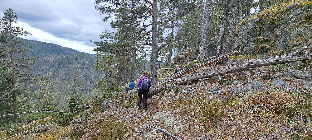Litt utsikt vestover