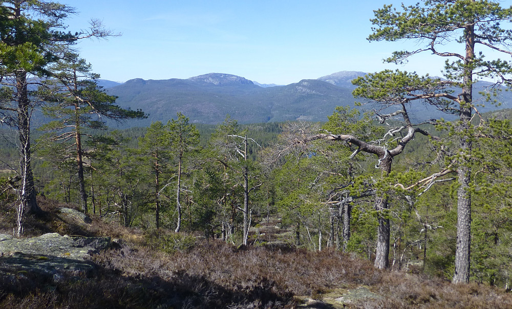 Utsikten blir bedre og bedre. Her mot Brokefjell og Brakandalsfjellet