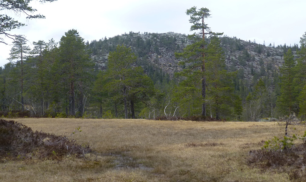 Her ser vi oss tilbake på Trytetjønnfjell og lia vi gikk ned.