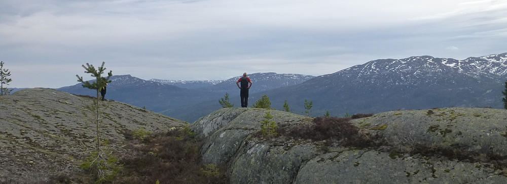 Ut på kanten mot Sauland. Fine sva å gå på bortetter.