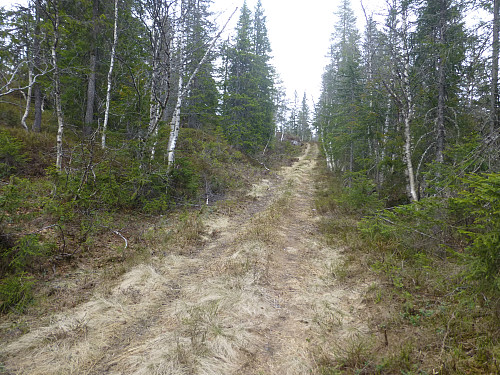 Traktorvegen oppover lia