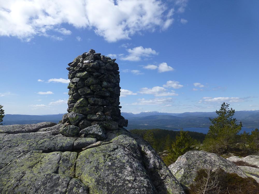 Toppvarden