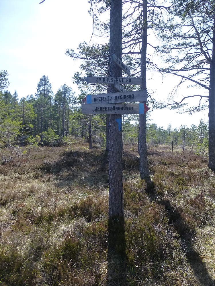 Stikryss til Svinehusknatten