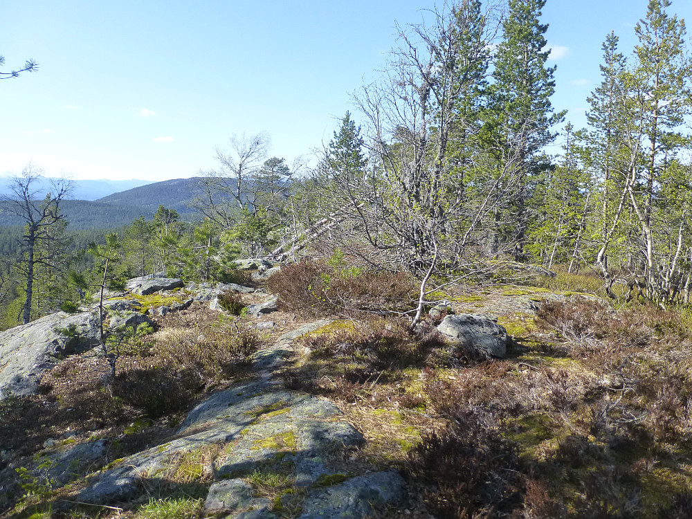 Toppområde som var høyest