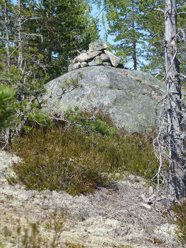 Toppvarden