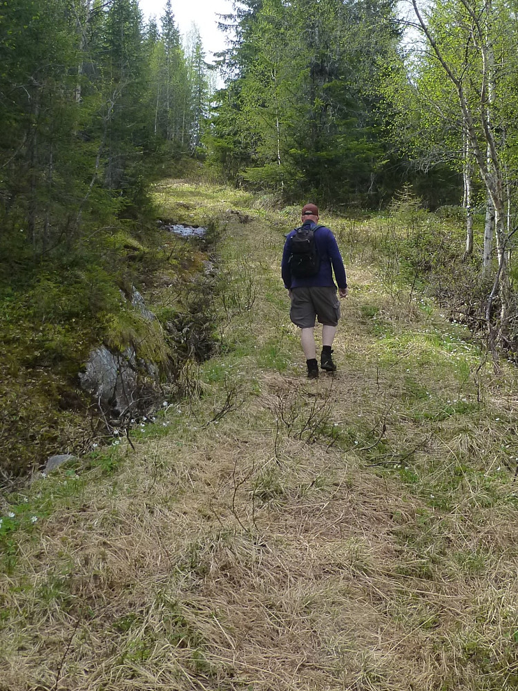 Traktorvegen vi fulgte innover