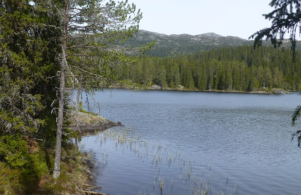 En liten stopp ved Kvernvatnet før vi trilla ned til bilen igjen. Her var det stille.