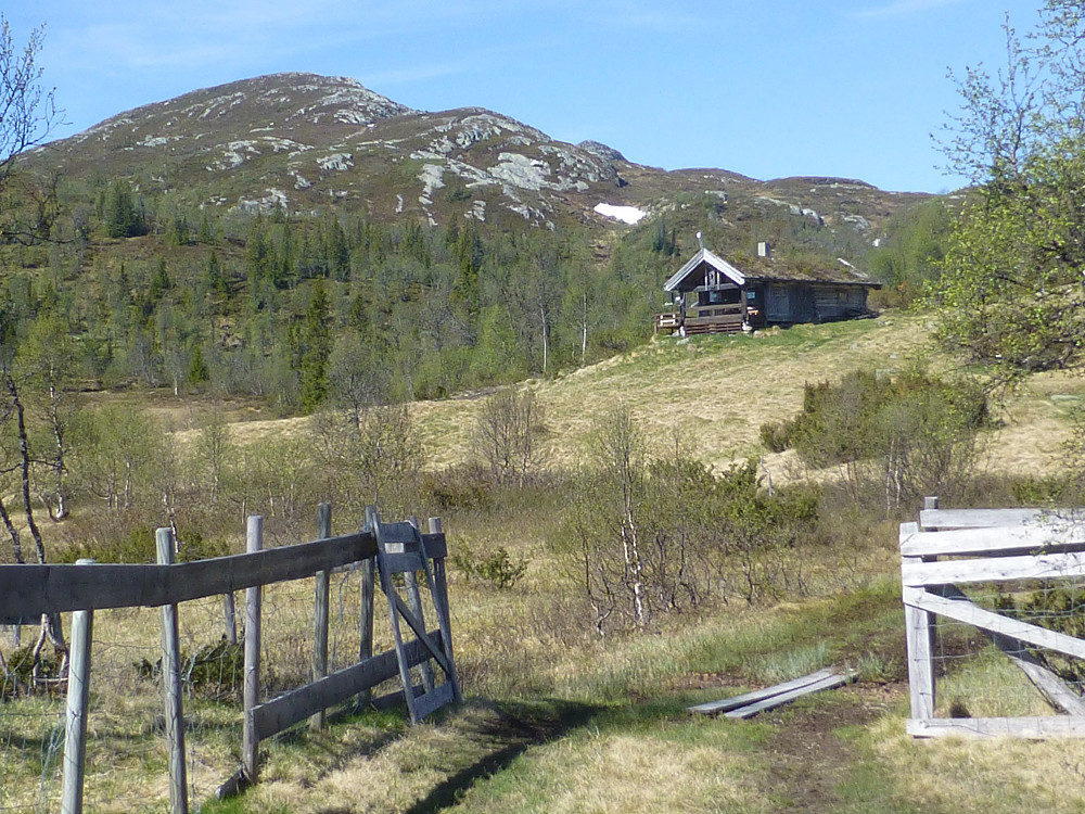 Krakset med Gryvlun bak