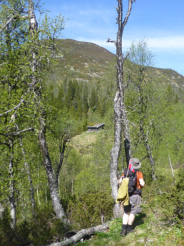 Neste Krakset stule ses der framme