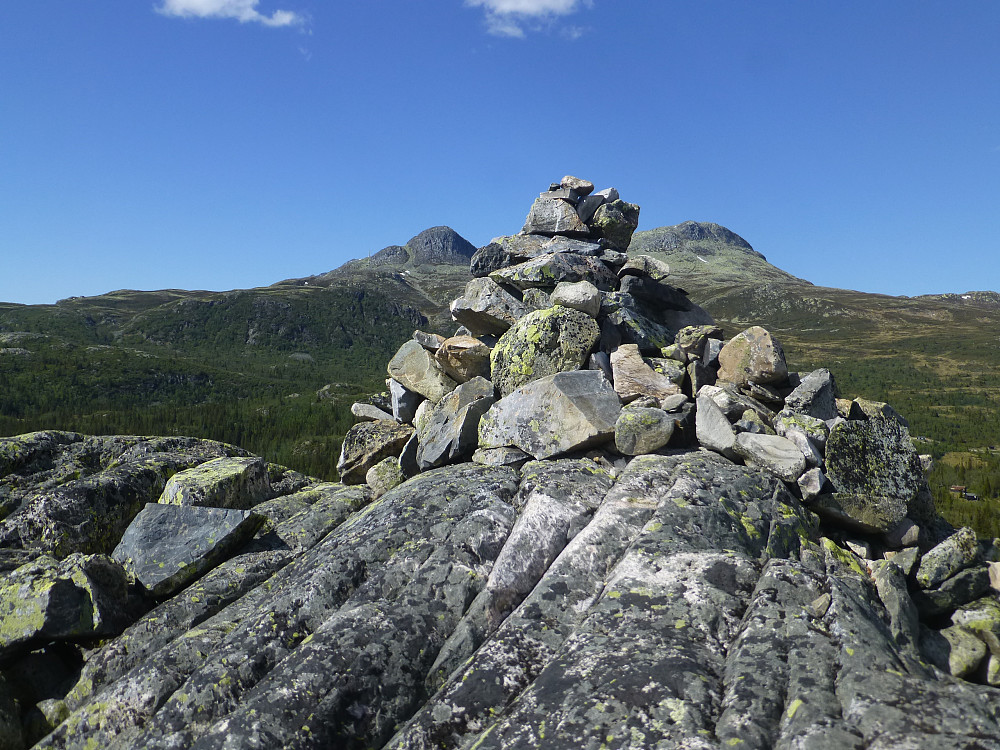 Toppvarden mellom knea
