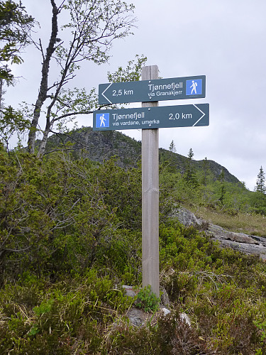 God merking oppover. Her står vi ved et valg og vi valgte rundtur