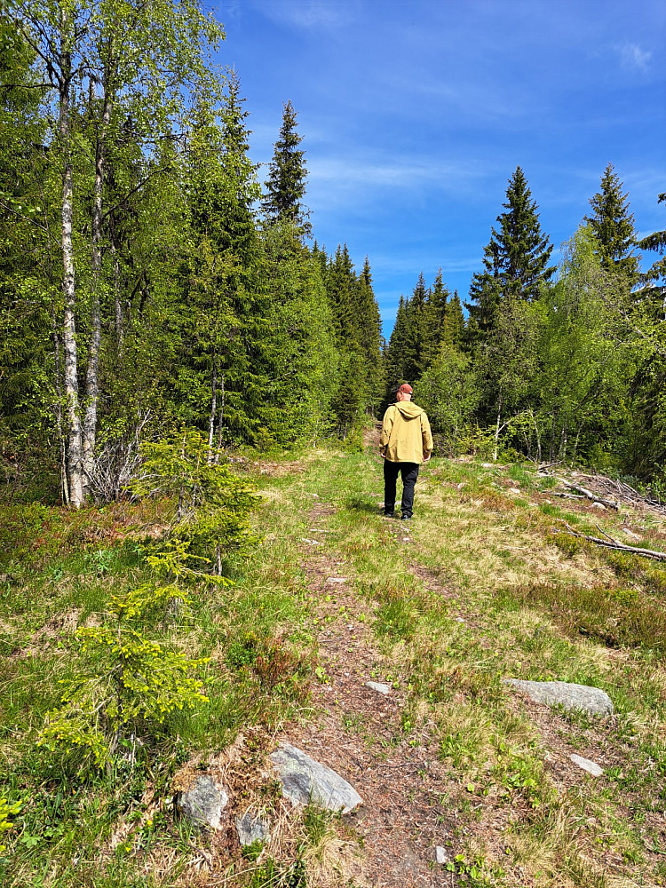 Traktorvegen oppover