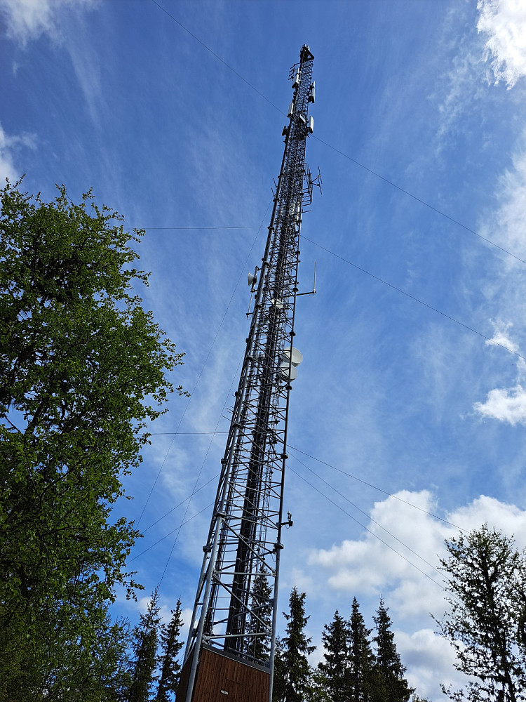 Skikkelig høy mast
