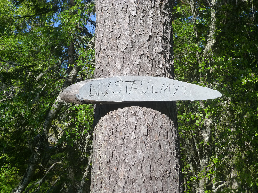 Nystaulmyri stod det på skiltet der jeg tok av, ingen sti, men litt tråkk.
